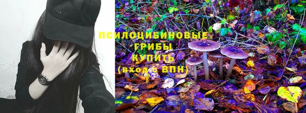 гидра Арсеньев