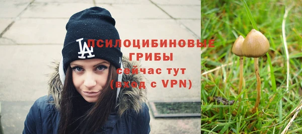 гидра Арсеньев