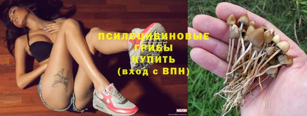 гидра Арсеньев